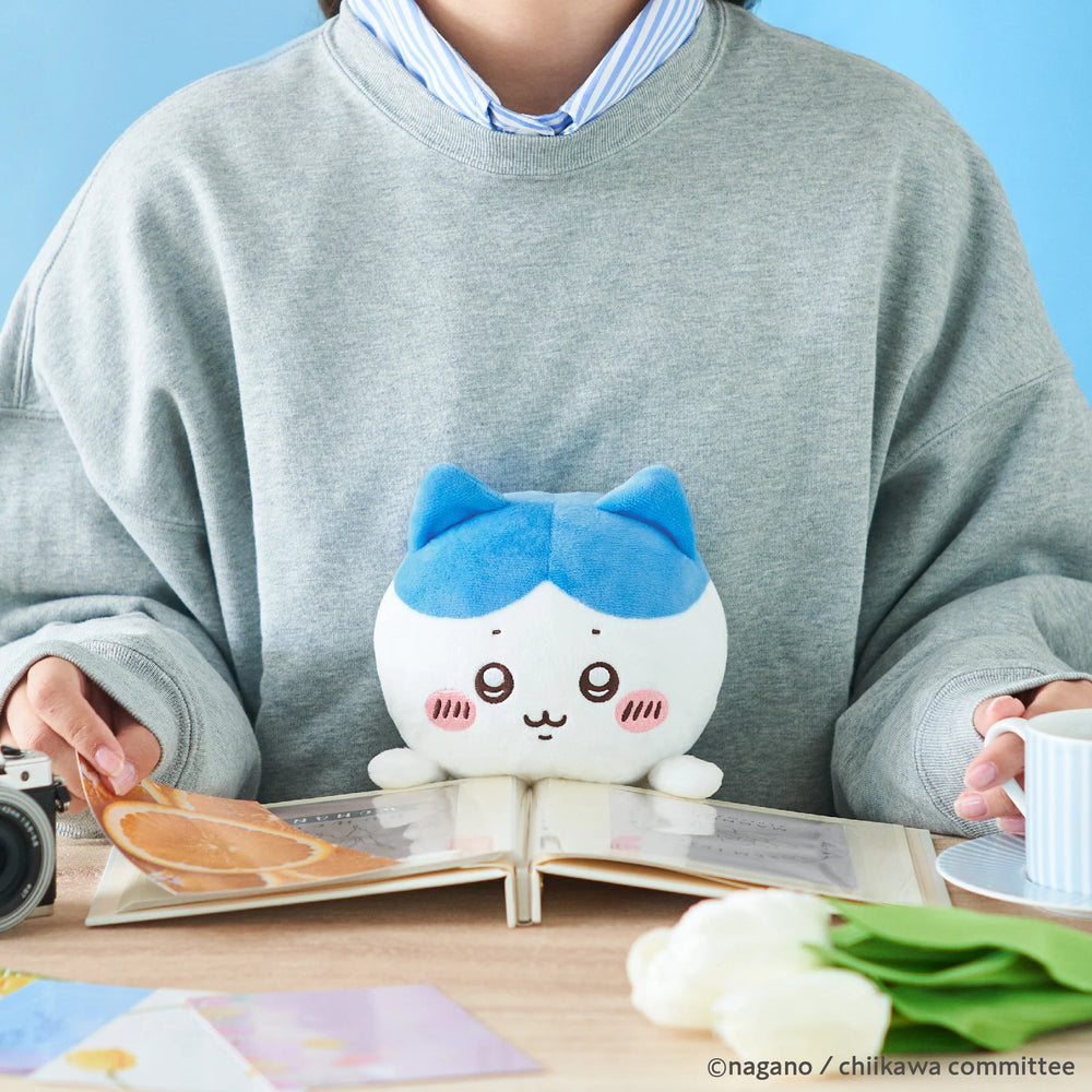 Posture Pal Funbarus Chiikawa by Dreams - Hachiware (Sonny Angel) - Petite Belle
