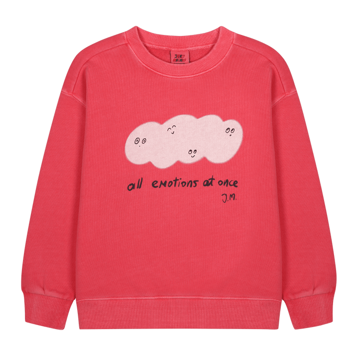 Cloud Pigment Sweatshirt by Jelly Mallow - Petite Belle