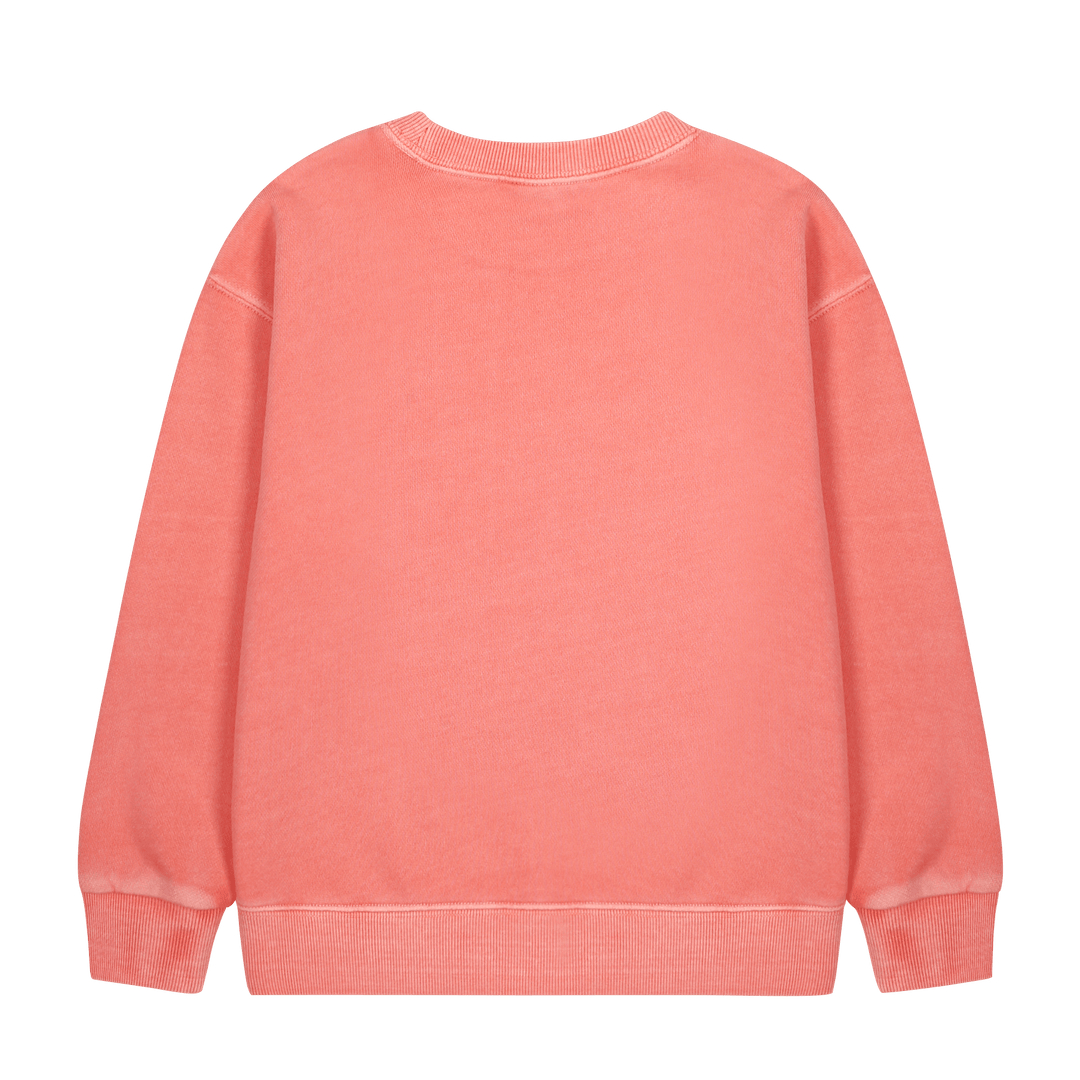 Courage Pigment Sweatshirt by Jelly Mallow - Petite Belle