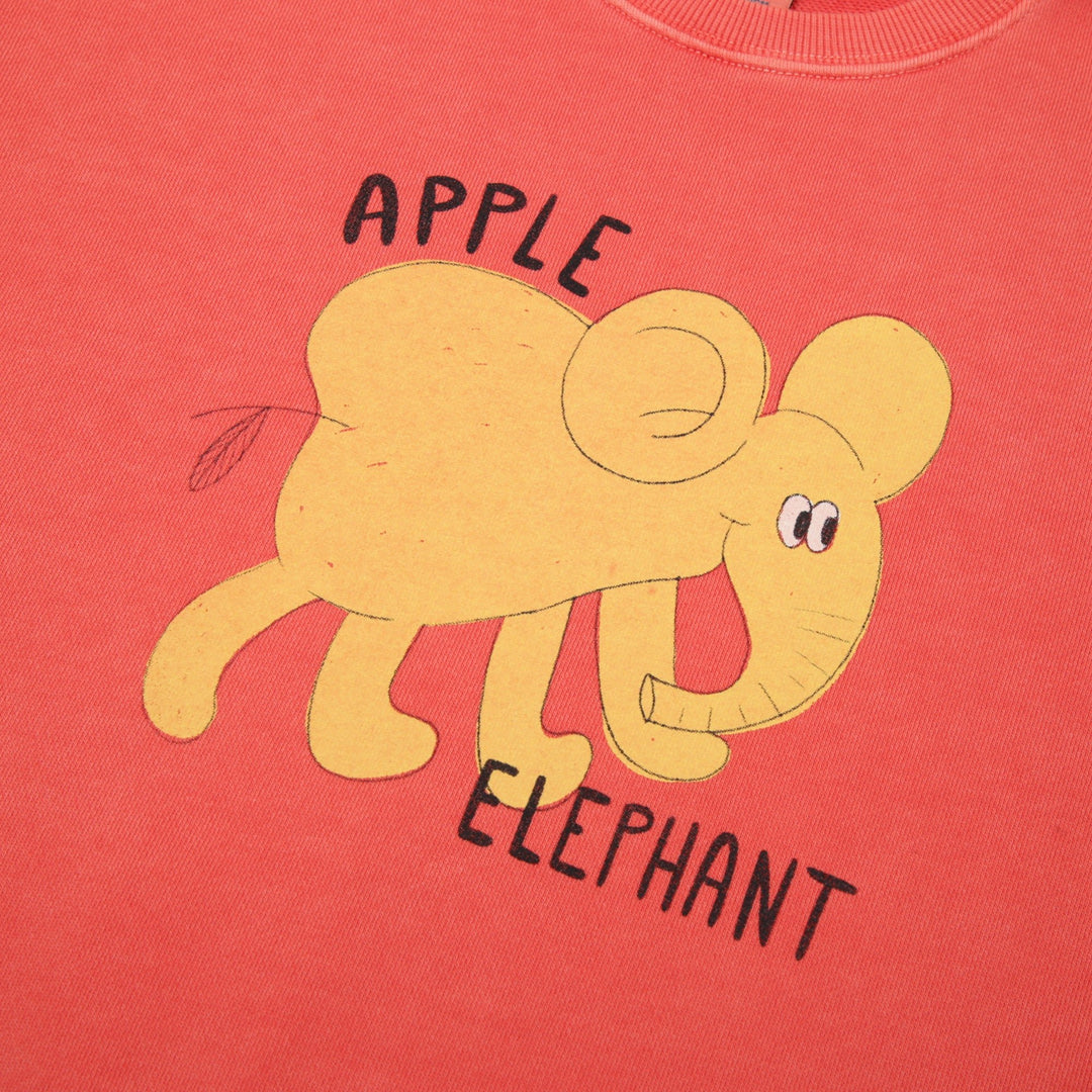 Elephant Pigment Sweatshirt by Jelly Mallow - Petite Belle