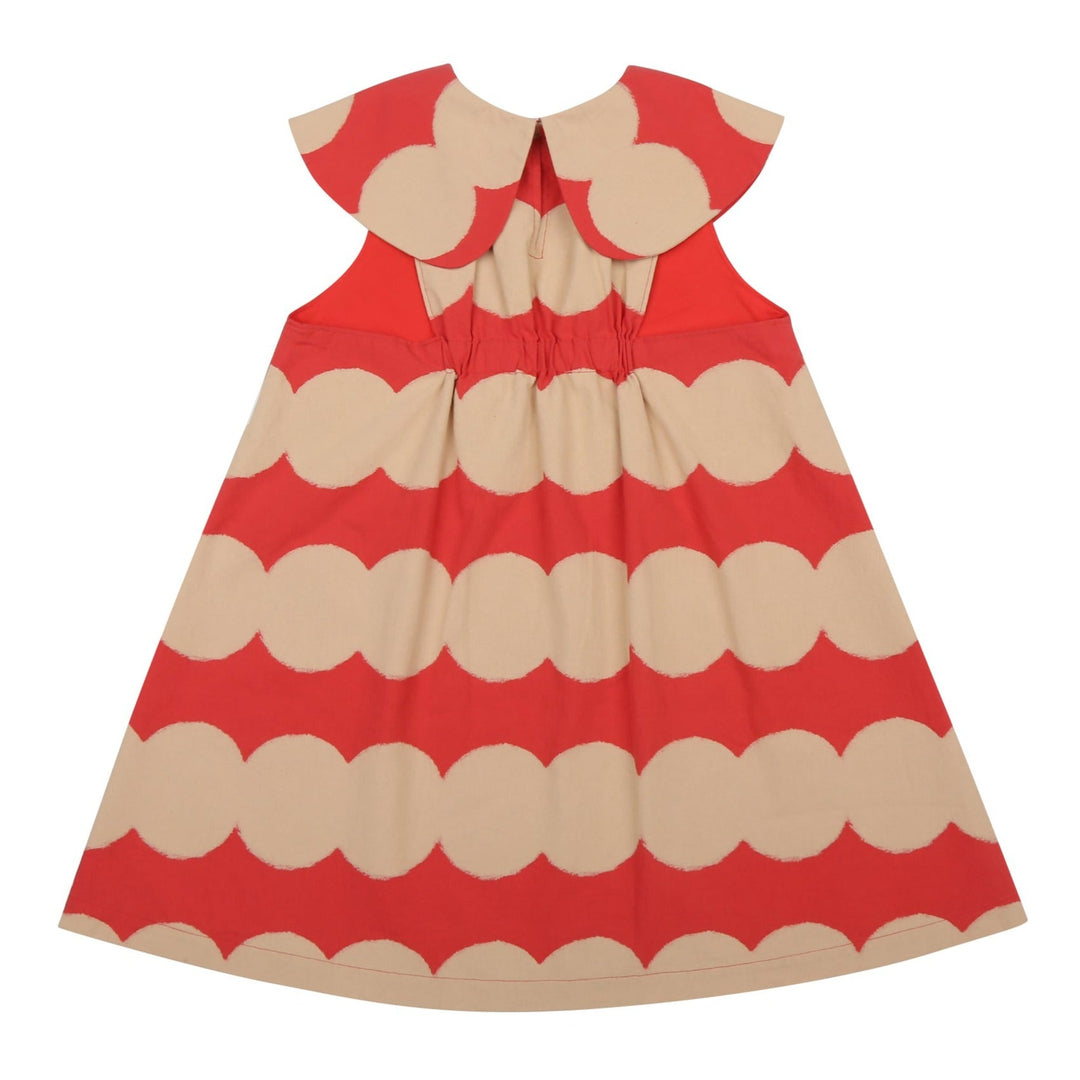 Dot Round Collar Dress by Jelly Mallow - Petite Belle