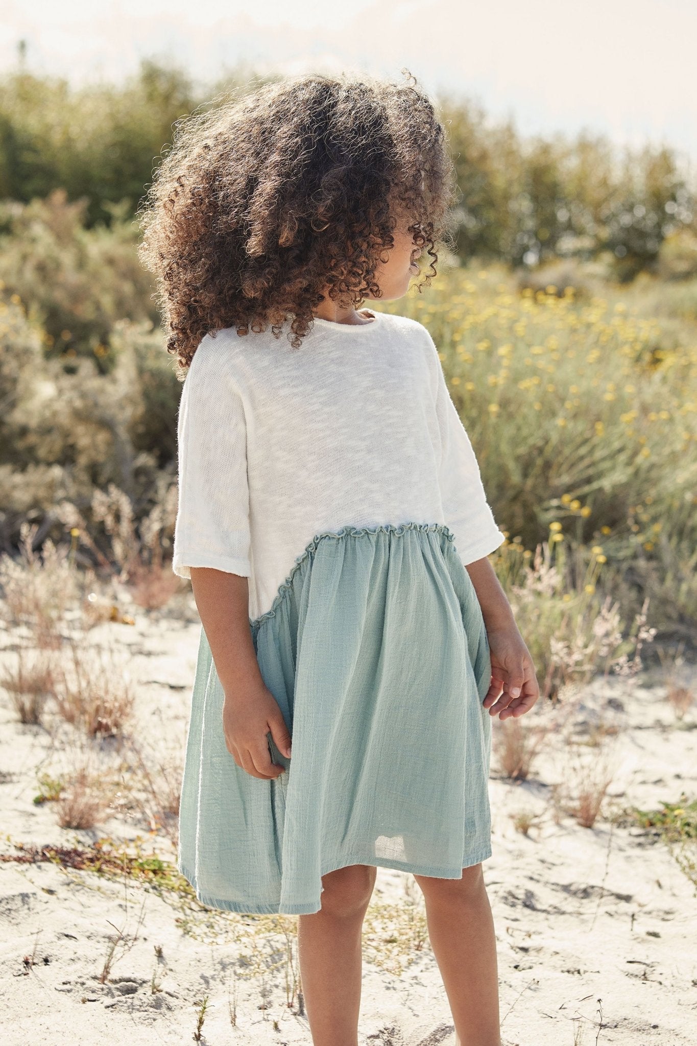 Two Tone Dress - Petite Belle